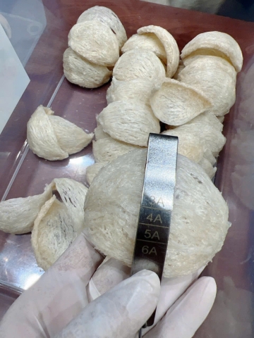 Yến rút lông A6 Xuất khẩu